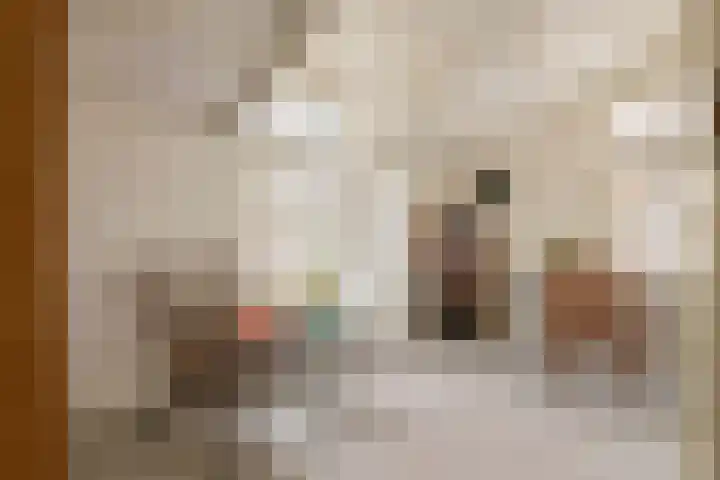 Het Voorburg 2 Culemborg thumbnail 32