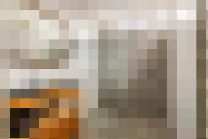 Het Voorburg 2 Culemborg thumbnail 38