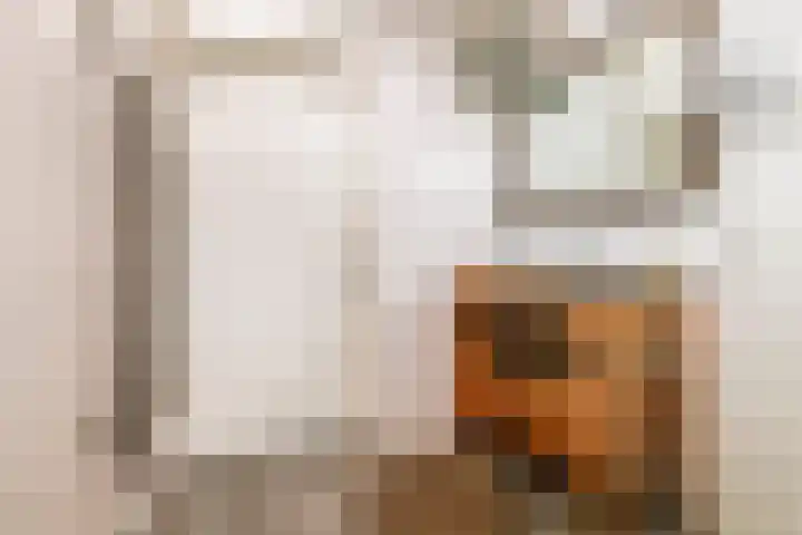 Het Voorburg 2 Culemborg thumbnail 39