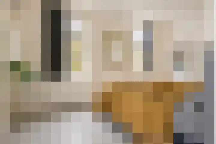 Het Voorburg 2 Culemborg thumbnail 41