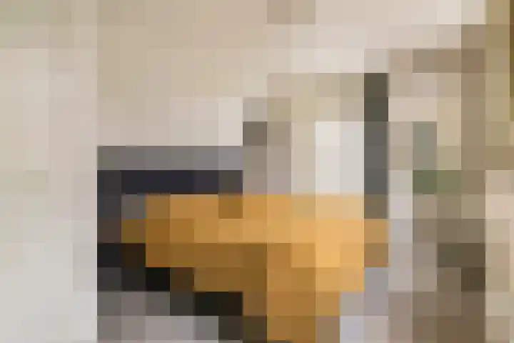 Het Voorburg 2 Culemborg thumbnail 42