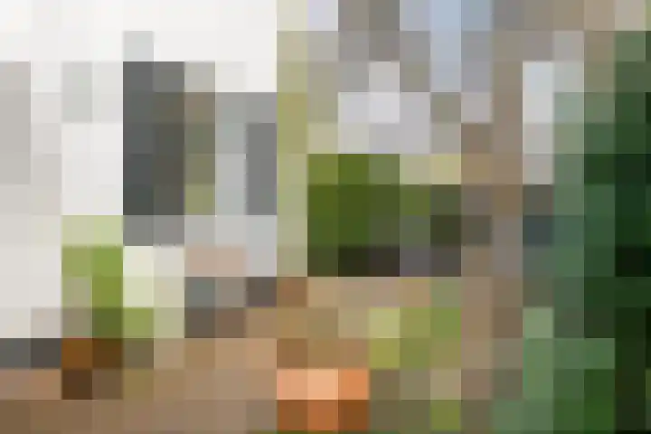 Het Voorburg 2 Culemborg thumbnail 49