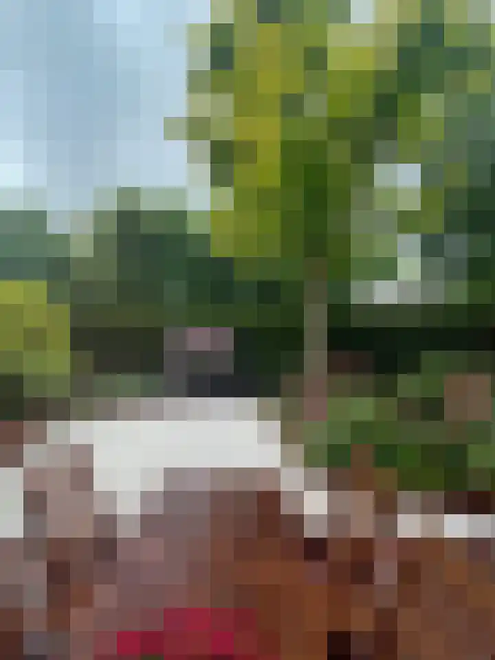 Het Voorburg 2 Culemborg thumbnail 54