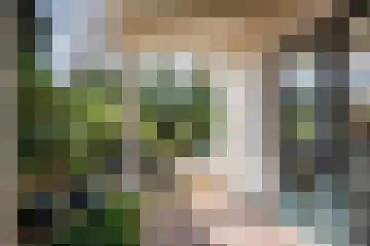Het Voorburg 2 Culemborg thumbnail 6