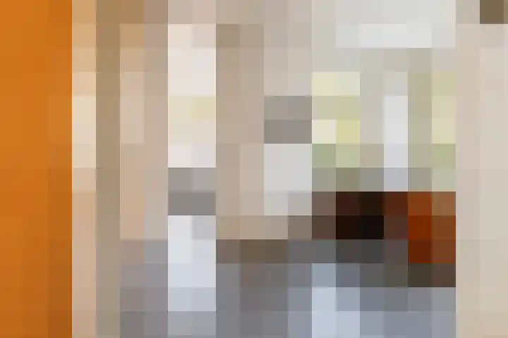 Het Voorburg 2 Culemborg thumbnail 9