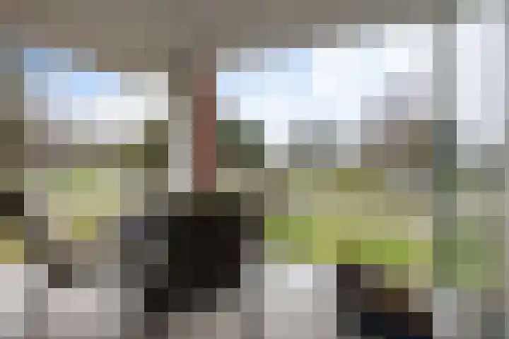 Het Waal 76 Emmen thumbnail 11