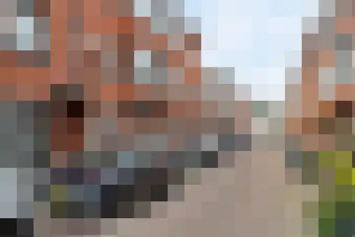 Het Waal 76 Emmen thumbnail 20