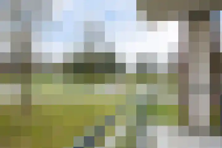 Het Waal 76 Emmen thumbnail 37
