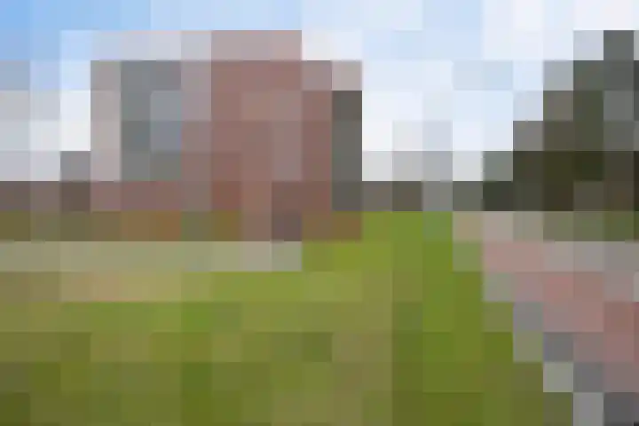 Het Waal 76 Emmen thumbnail 40