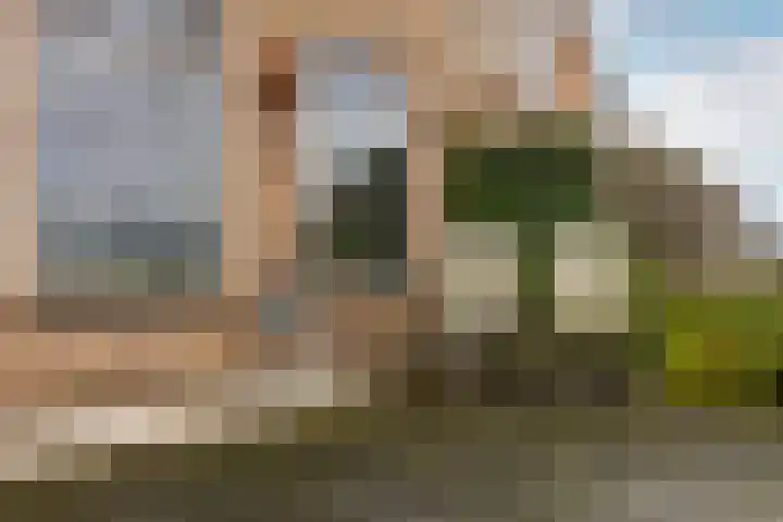 Het Waal 76 Emmen thumbnail 47