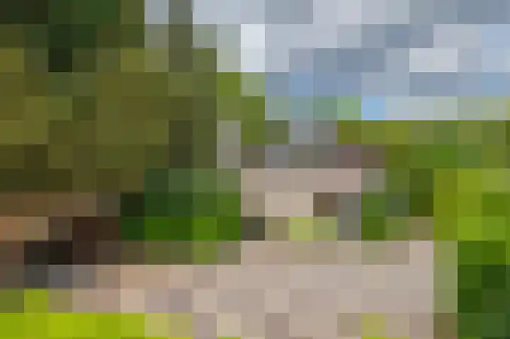 Het Walbekerveld 28 Angerlo thumbnail 12