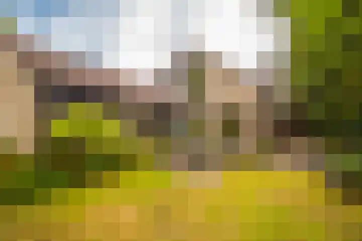 Het Walbekerveld 28 Angerlo thumbnail 31