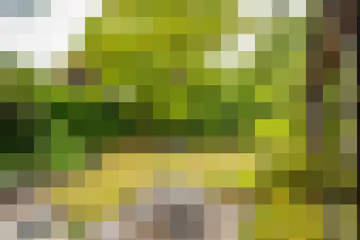 Het Walbekerveld 28 Angerlo thumbnail 35