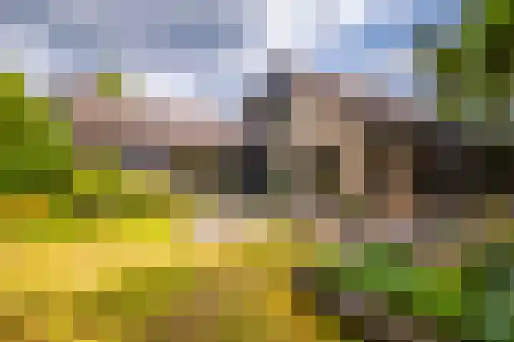 Het Walbekerveld 28 Angerlo thumbnail 38