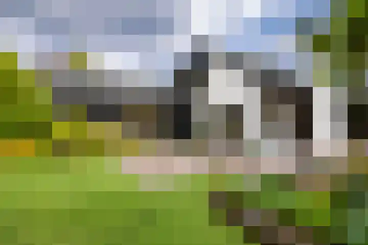 Het Walbekerveld 28 Angerlo thumbnail 6