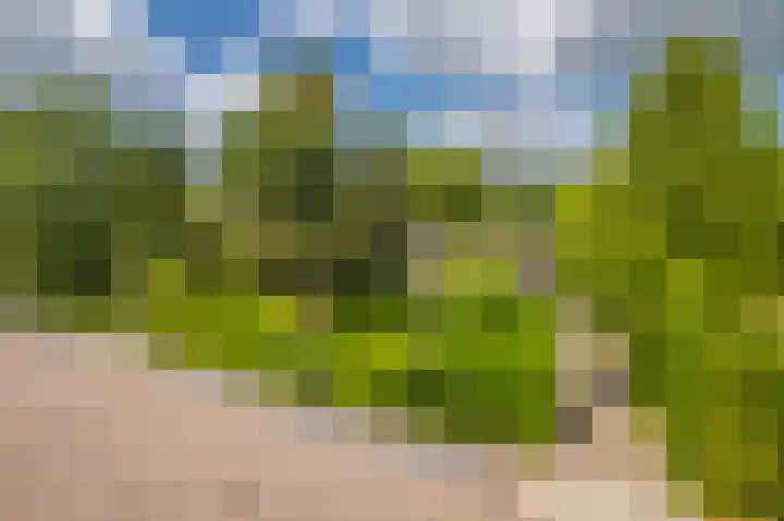 Het Walbekerveld 28 Angerlo thumbnail 8
