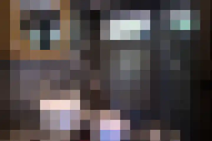 Het Wansink 1 Epse thumbnail 24