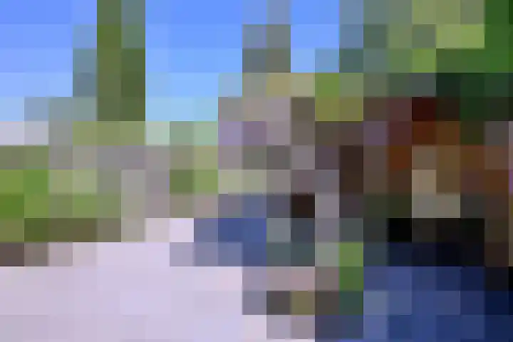 Het Wansink 1 Epse thumbnail 30