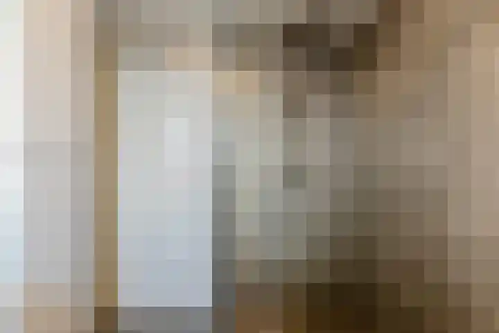 het Want 11 Hellevoetsluis thumbnail 20