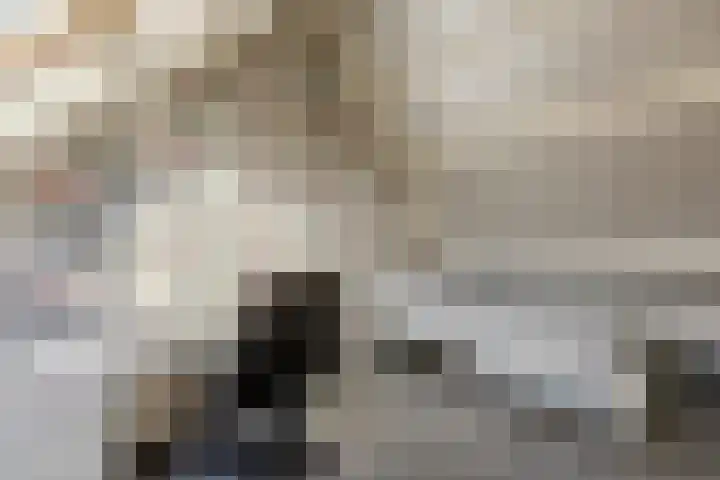 het Want 11 Hellevoetsluis thumbnail 23