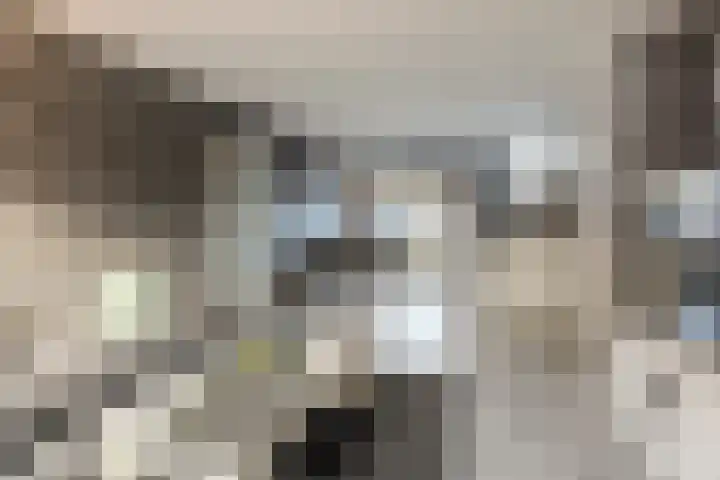 het Want 11 Hellevoetsluis thumbnail 4