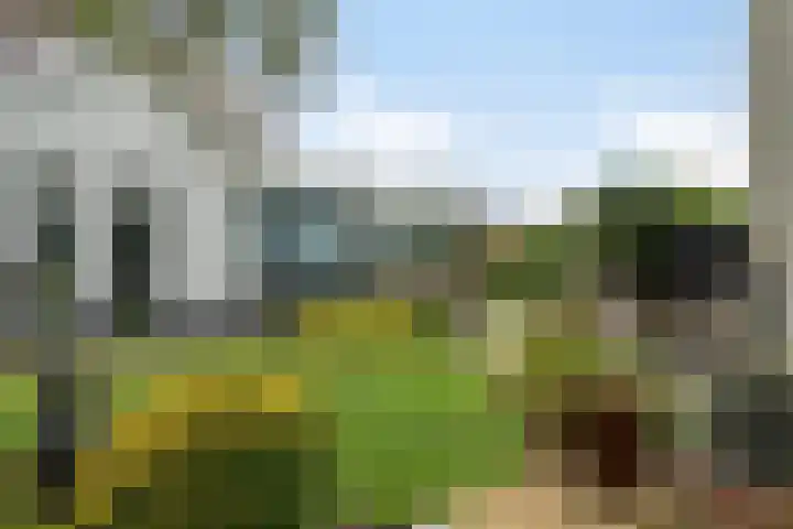 Het Wargaren 46 Lith thumbnail 50