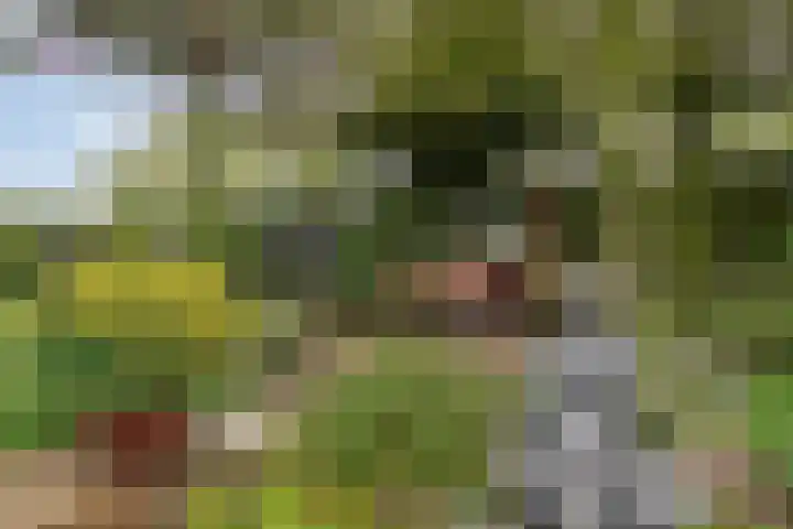 Het Wargaren 46 Lith thumbnail 51