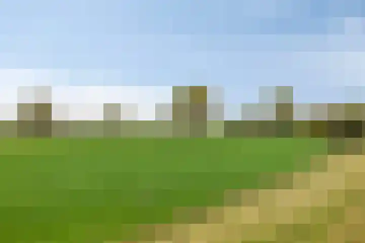 Het Wargaren 46 Lith thumbnail 95