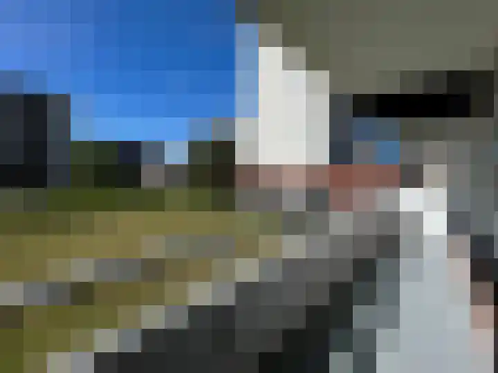 Het Weeld 172 Emmen thumbnail 10