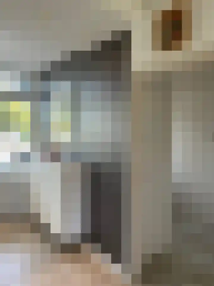 Het Weeld 172 Emmen thumbnail 16