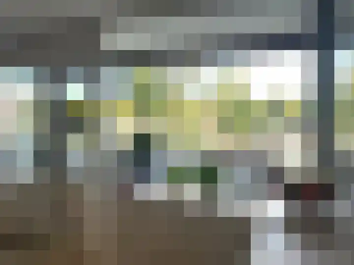 Het Weeld 172 Emmen thumbnail 17