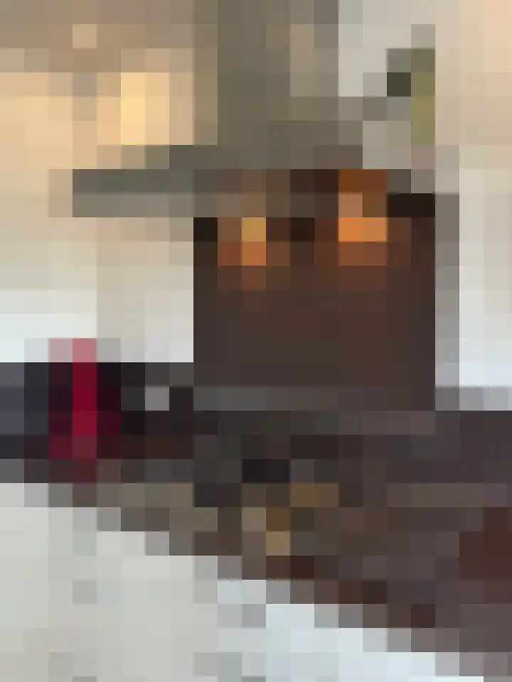 Het Weeld 172 Emmen thumbnail 19