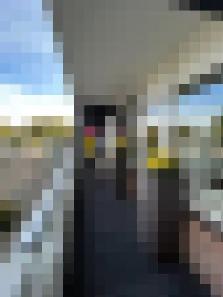 Het Weeld 172 Emmen thumbnail 23