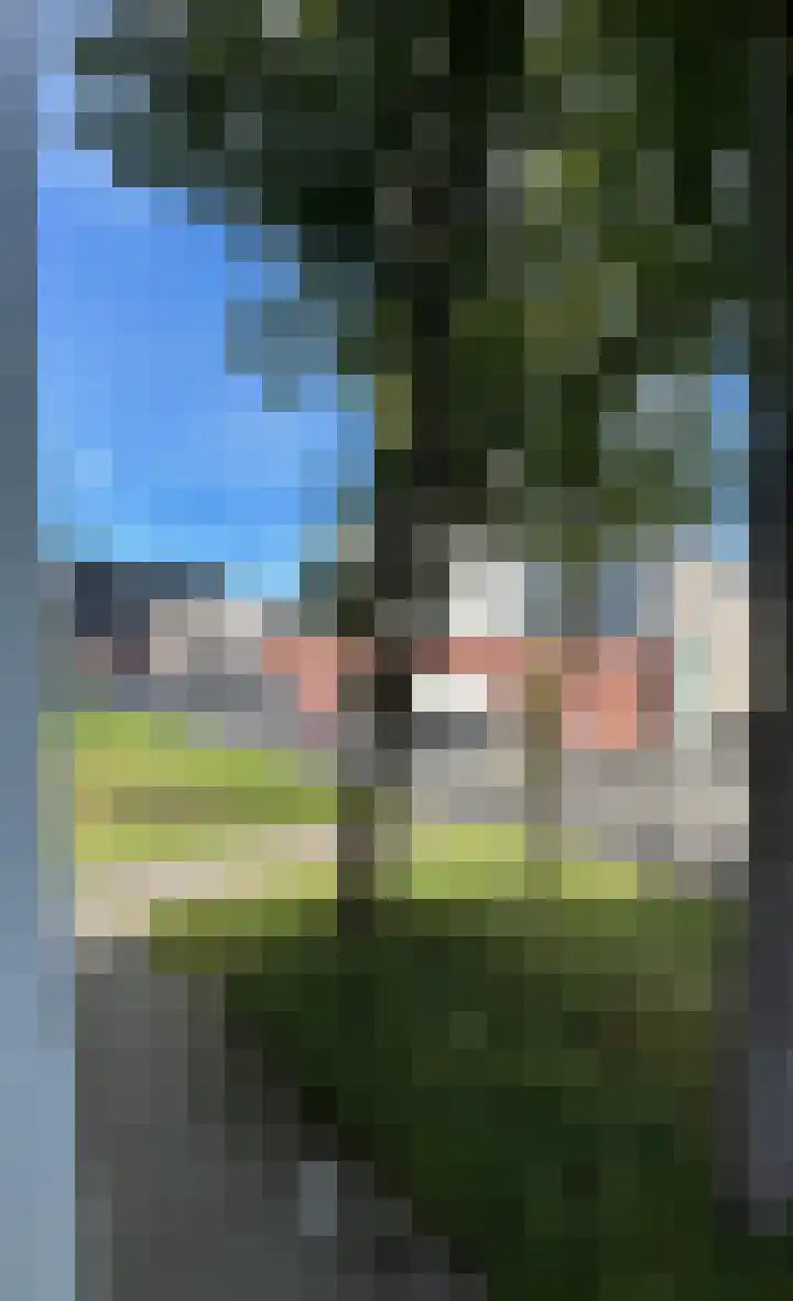 Het Weeld 172 Emmen thumbnail 24