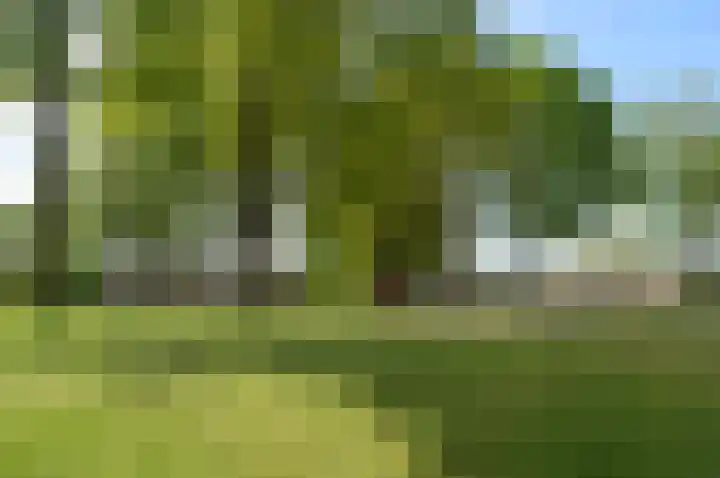 Het Weeld 172 Emmen thumbnail 35