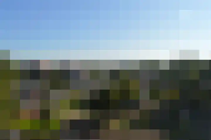 Het Weeld 192 Emmen thumbnail 15