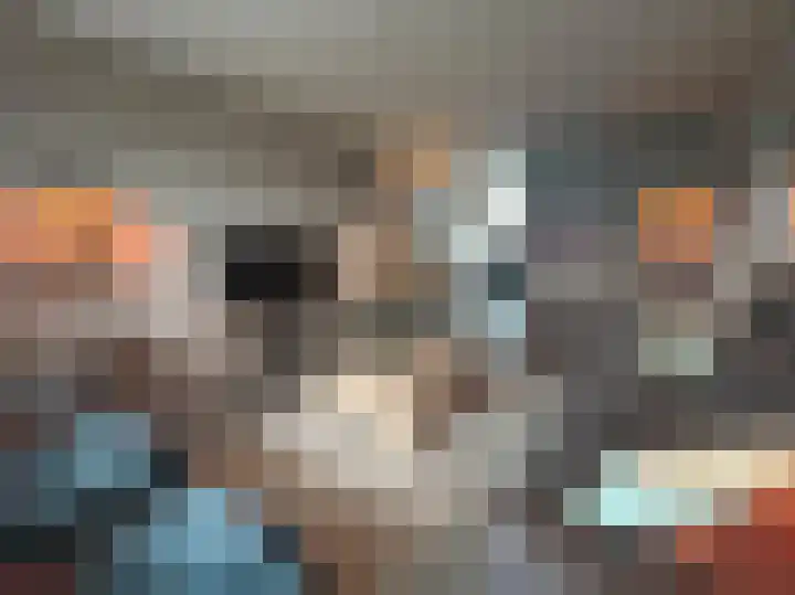 Het Weeld 192 Emmen thumbnail 20