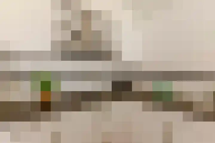 Het Wielemakersland 30 Heiloo thumbnail 7