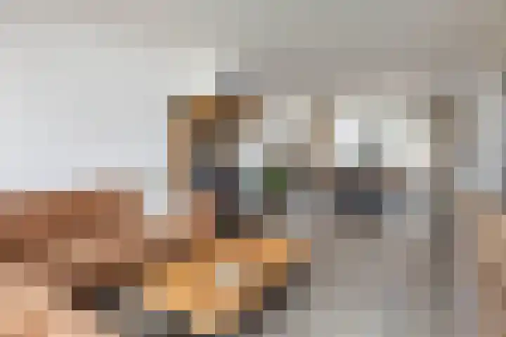 het Wilmink 18 Weerselo thumbnail 10