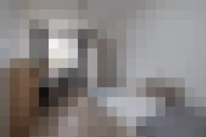 het Wilmink 18 Weerselo thumbnail 14