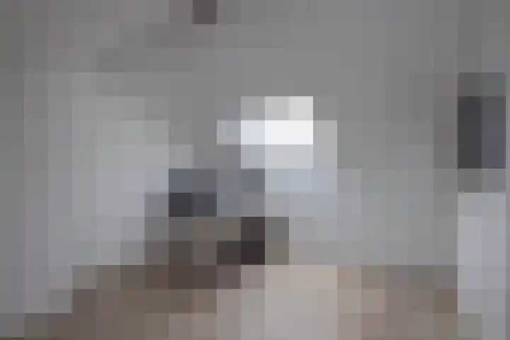het Wilmink 18 Weerselo thumbnail 19