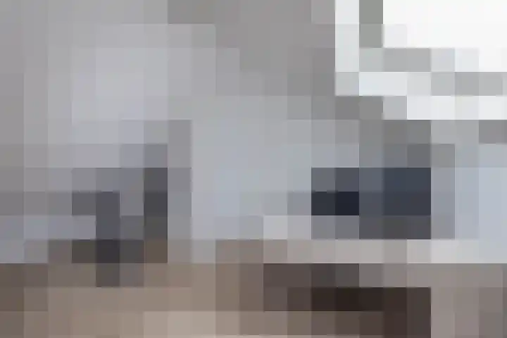 het Wilmink 18 Weerselo thumbnail 20