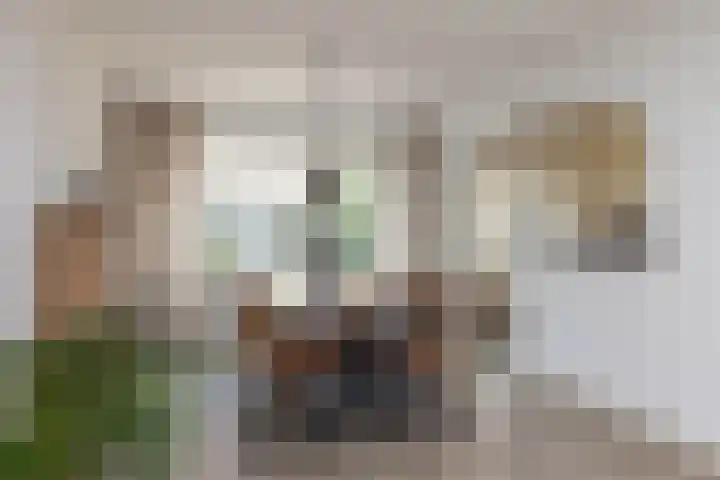 het Wilmink 18 Weerselo thumbnail 8