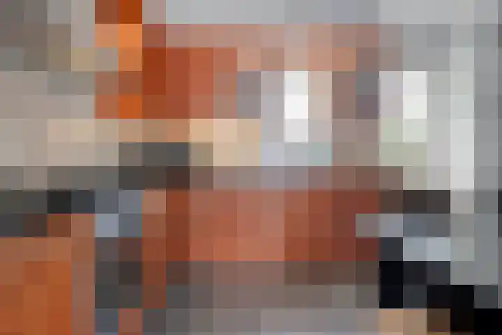 het Woold 29 Raalte thumbnail 14