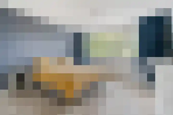 het Woold 29 Raalte thumbnail 17