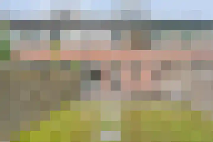 het Woold 29 Raalte thumbnail 30