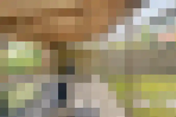 het Woold 29 Raalte thumbnail 33