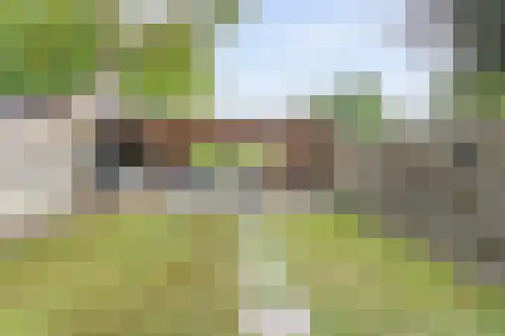 het Woold 29 Raalte thumbnail 34