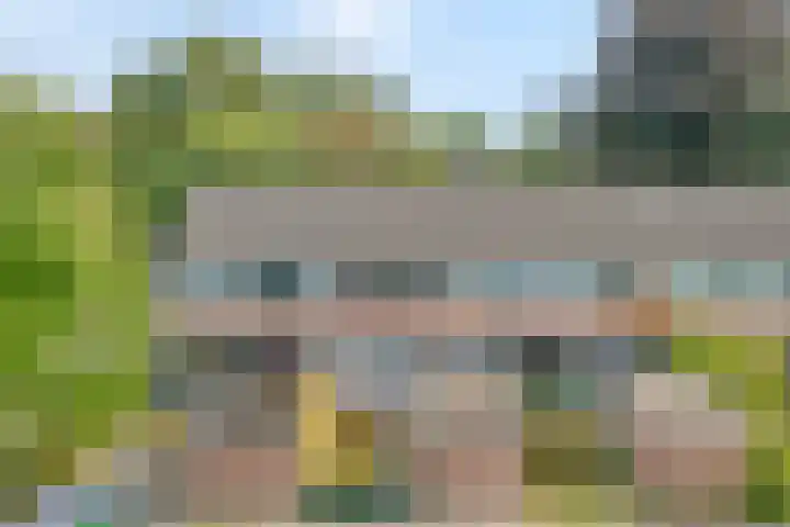 het Woold 29 Raalte thumbnail 39