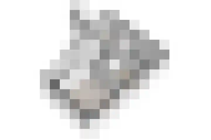 Logo van Het Woonhart makelaardij